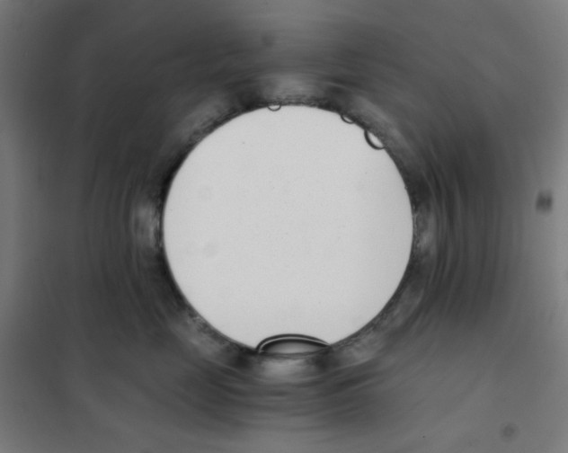 X0000101430669200808041153