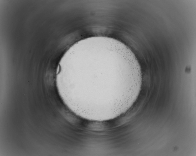 X0000101430671200808041153