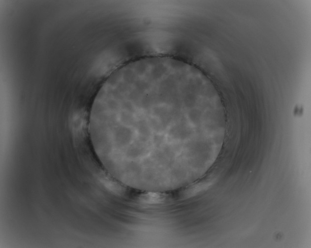 X0000101430672200808041153