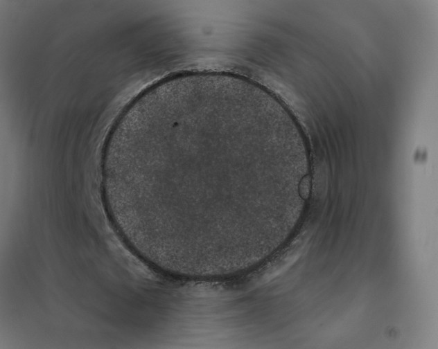 X0000101430673200808041152