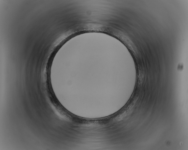 X0000101430674200808041152