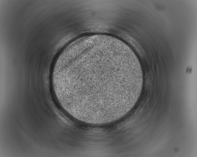 X0000101430677200808041152