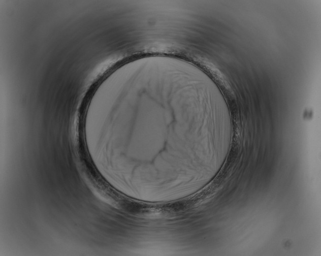 X0000101430678200808041152