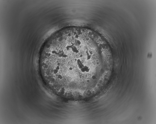 X0000101430679200808041152