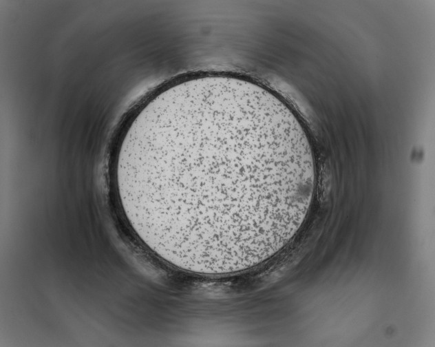 X0000101430680200808041152