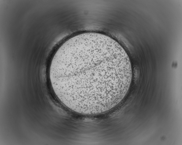 X0000101430684200808041152