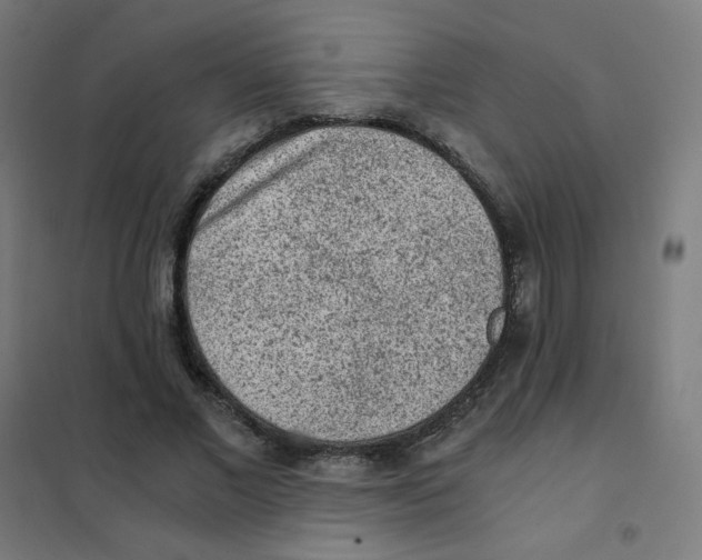 X0000101430685200808041152