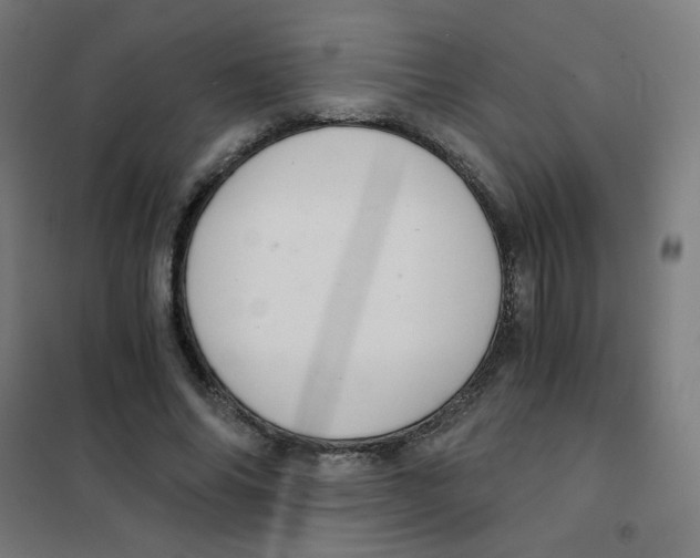 X0000101430686200808041152