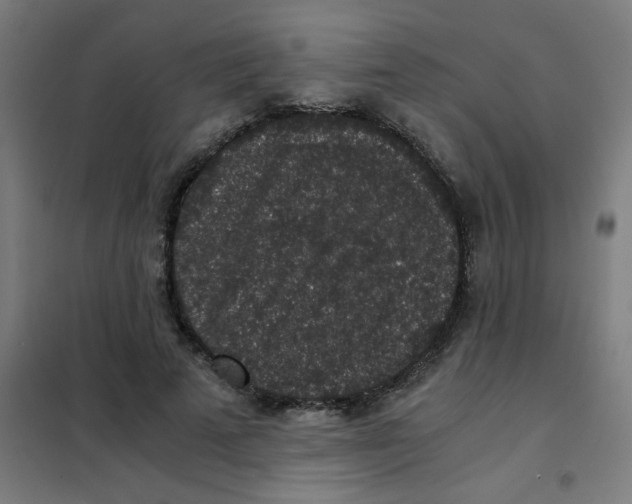 X0000101430689200808041152