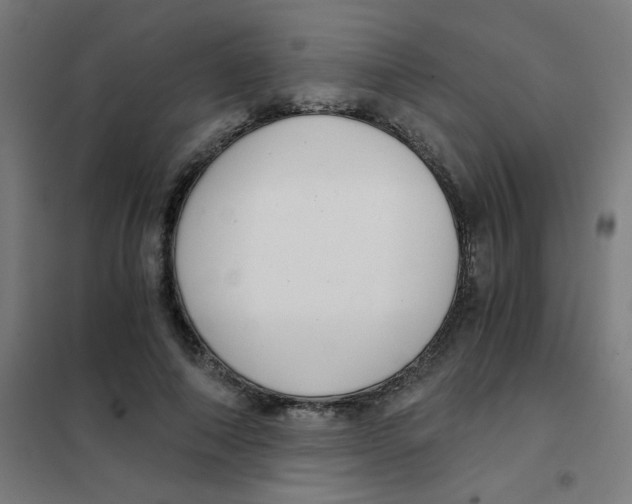 X0000101430690200808041152