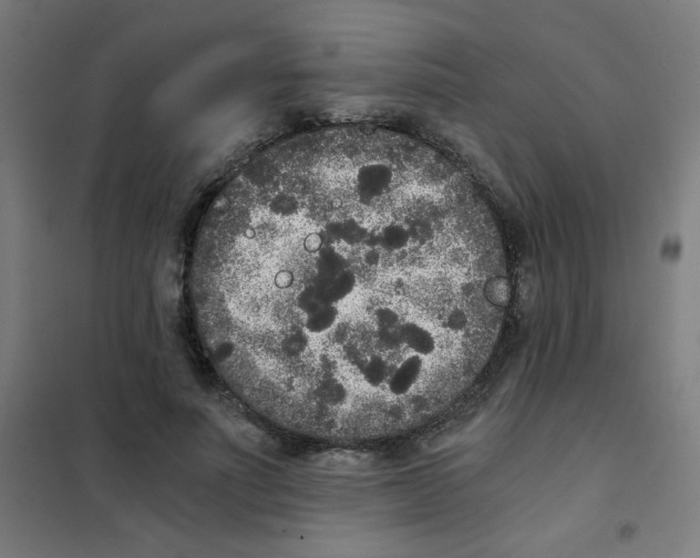 X0000101430691200808041152