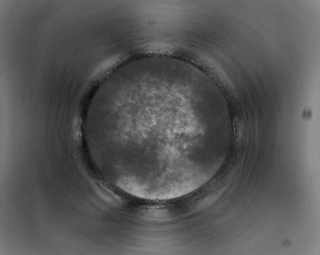 X0000101430692200808041152