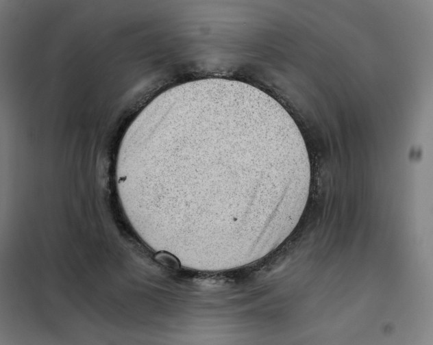 X0000101430693200808041152