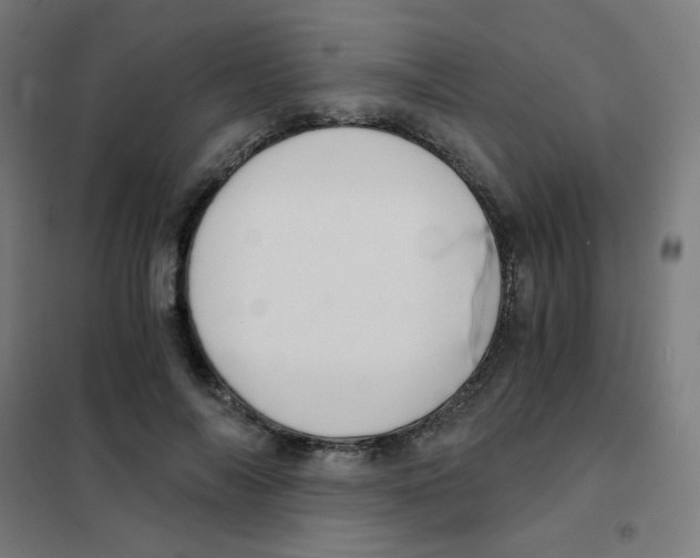 X0000101430694200808041152