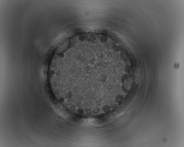 X0000101430695200808041152