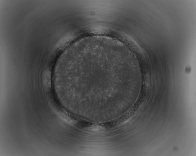 X0000101430696200808041152