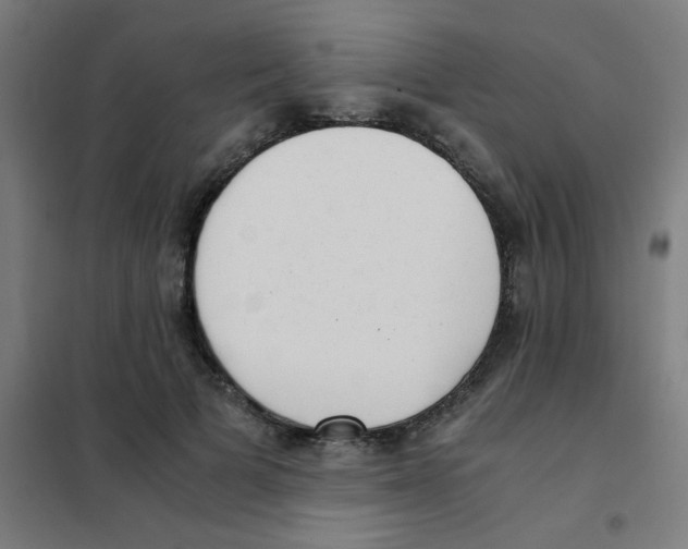 X0000101430697200808041152