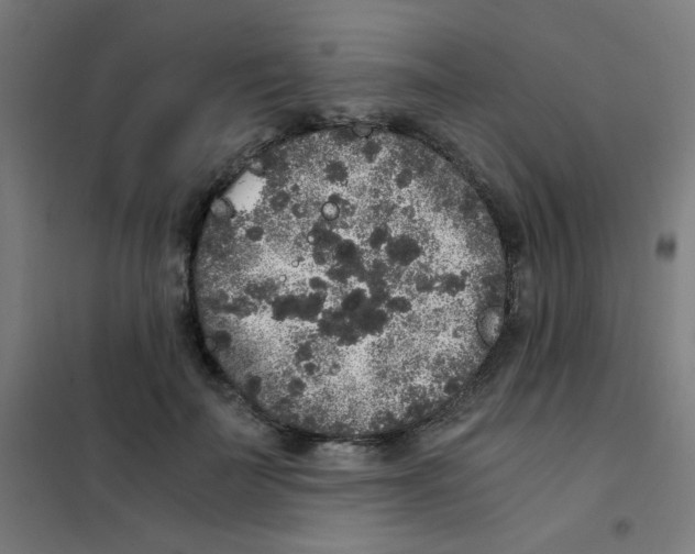 X0000101430699200808041152