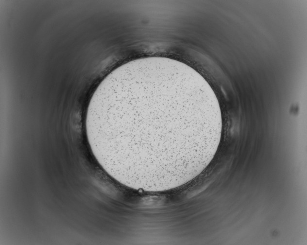 X0000101430700200808041152