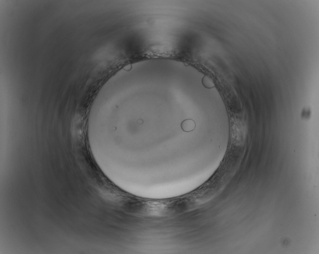 X0000101430701200808041152