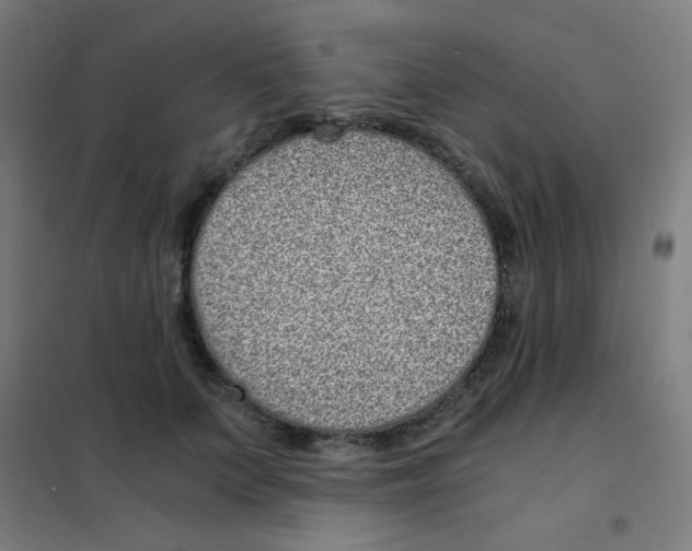 X0000101430703200808041151