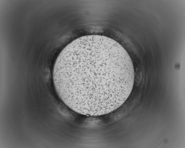 X0000101430704200808041151