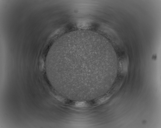 X0000101430705200808041151