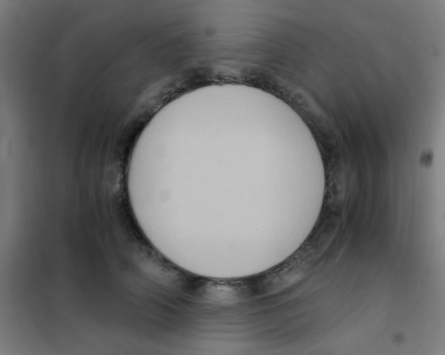 X0000101430706200808041151