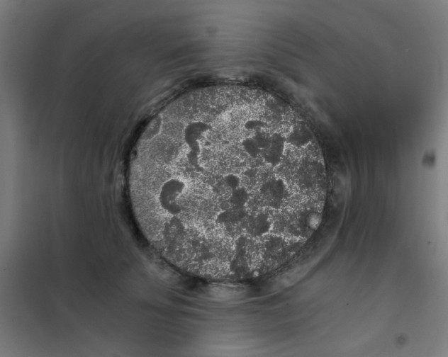 X0000101430707200808041151