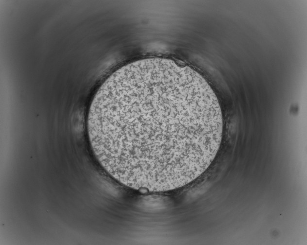 X0000101430708200808041151