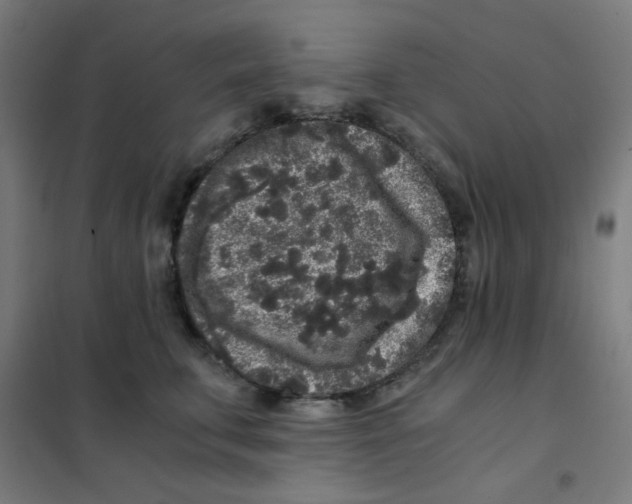 X0000101430711200808041151