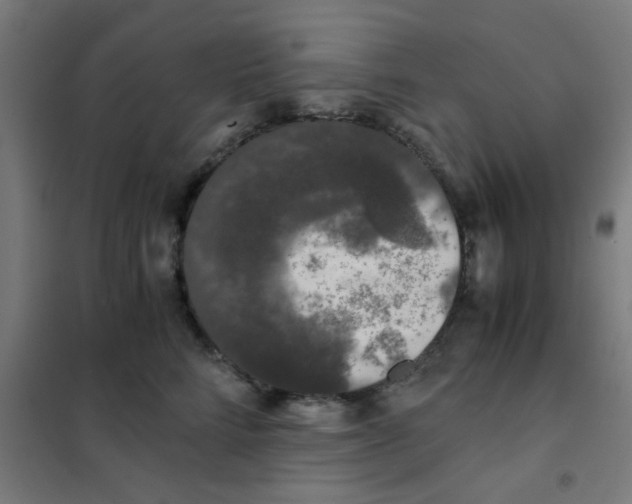 X0000101430712200808041151