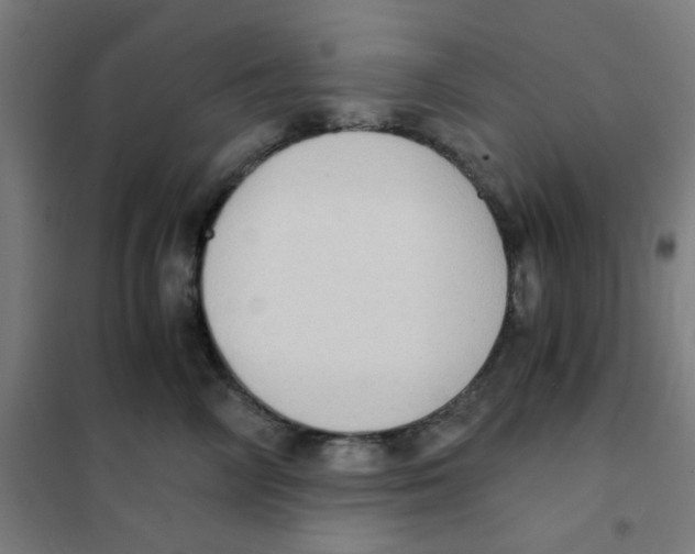 X0000101430714200808041151