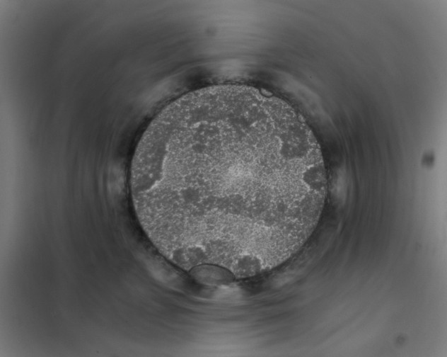 X0000101430715200808041151