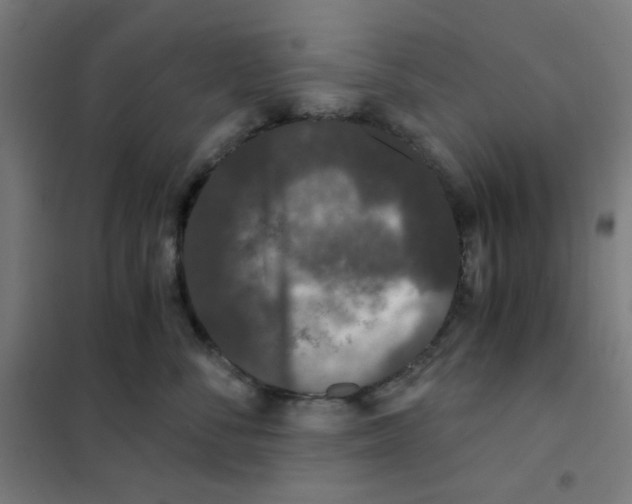 X0000101430716200808041151