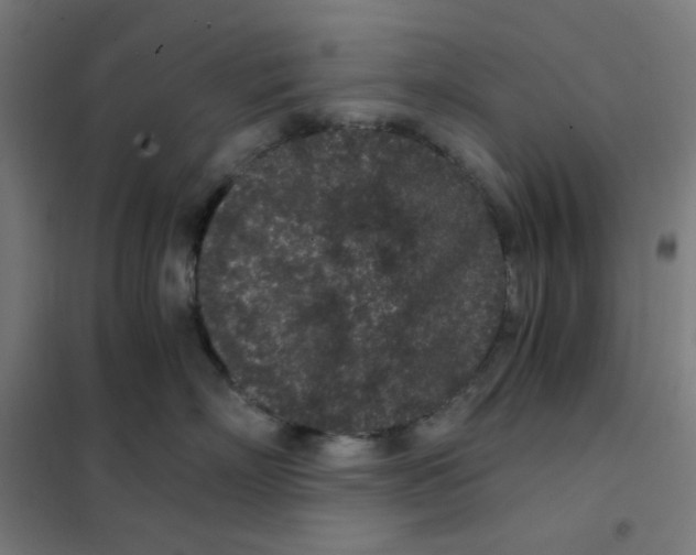 X0000101430718200808041151