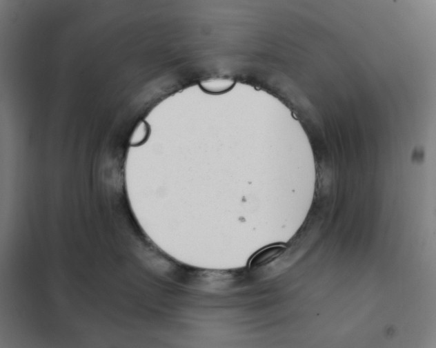 X0000101430719200808041151