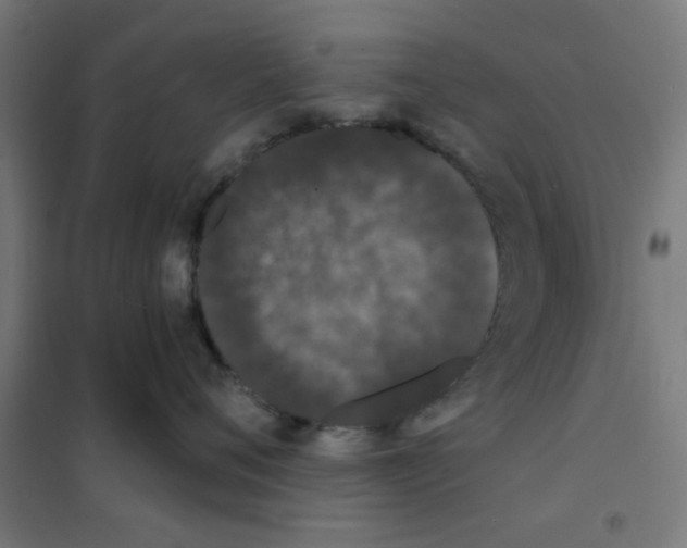 X0000101430720200808041151