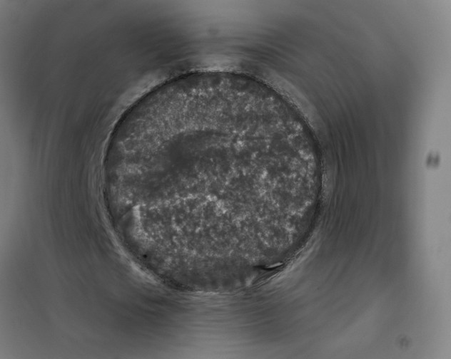 X0000101430721200808041151