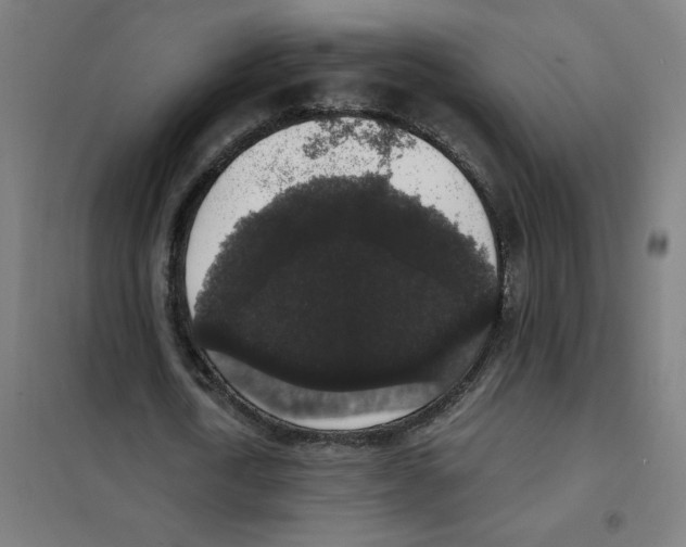 X0000101430722200808041151