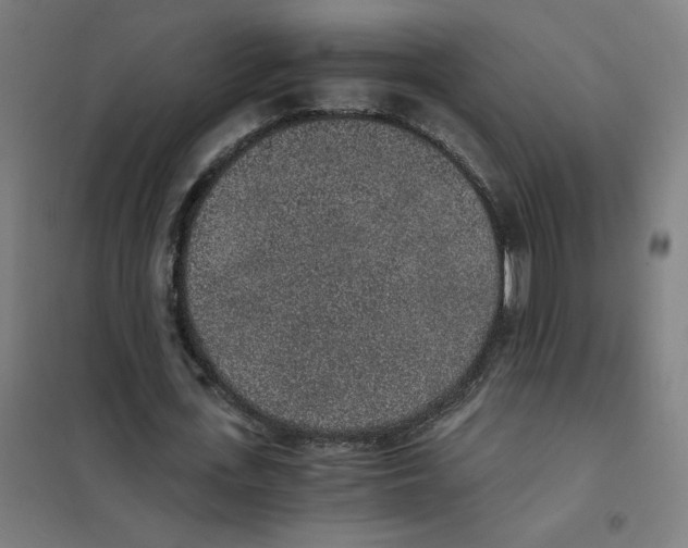 X0000101430723200808041151