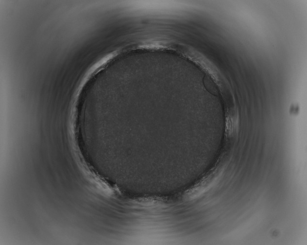 X0000101430724200808041151