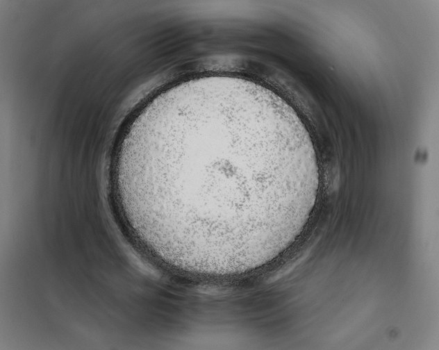 X0000101430725200808041151