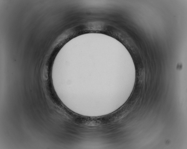 X0000101430731200808041151