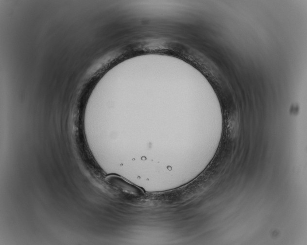 X0000101430732200808041151