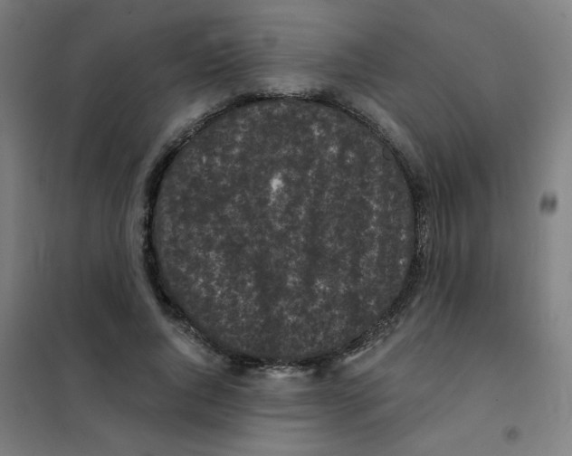 X0000101430736200808041151