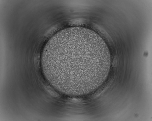 X0000101430737200808041151