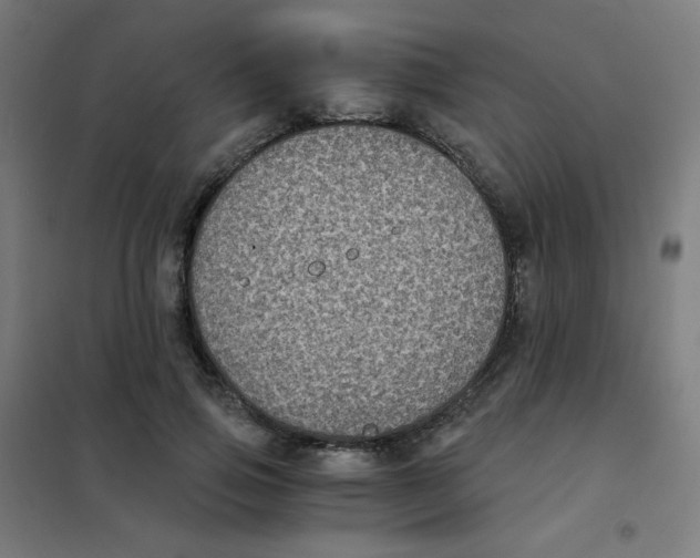 X0000101430741200808041151