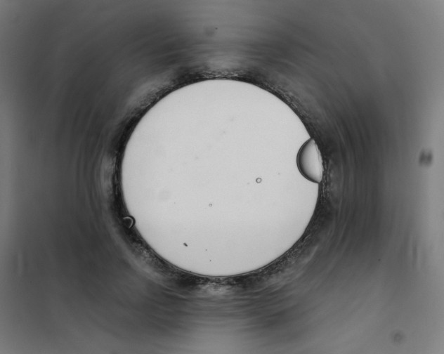 X0000101430742200808041151