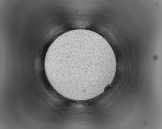 X0000101430743200808041151